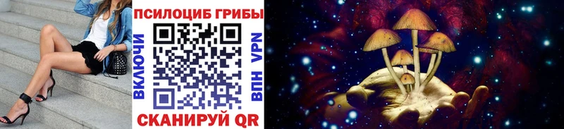 Псилоцибиновые грибы Psilocybe  Купить где  Суоярви 